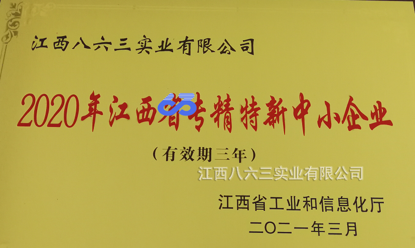 BBV·电子（中国）官方网站喜获国家级专精特新“小巨人”称号